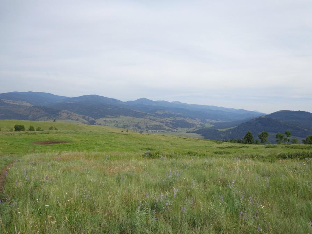 0-Lot T Graves Mt. Rd - Photo 1