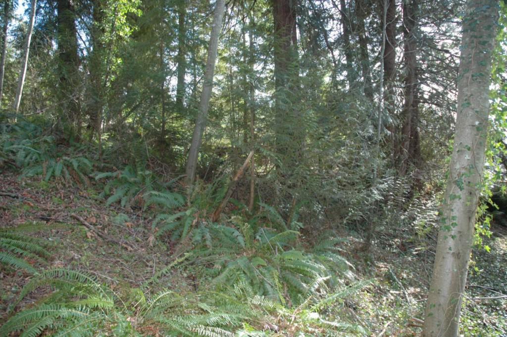 3601 48th Av Ct - Photo 1