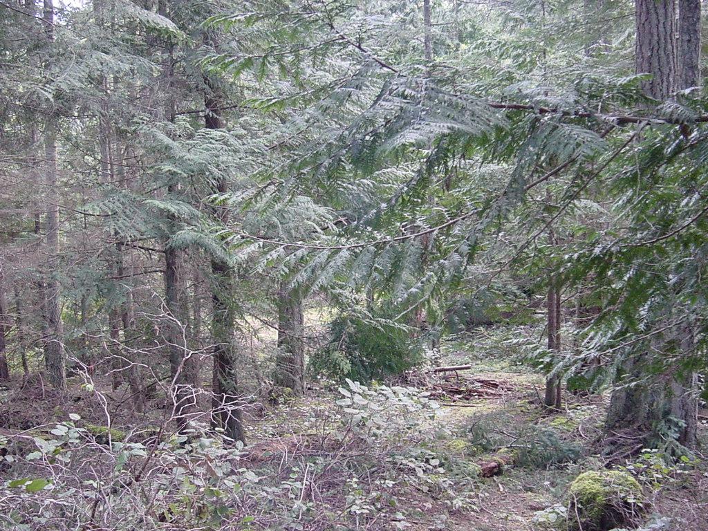45 Dolphin Bay Rd - Photo 1