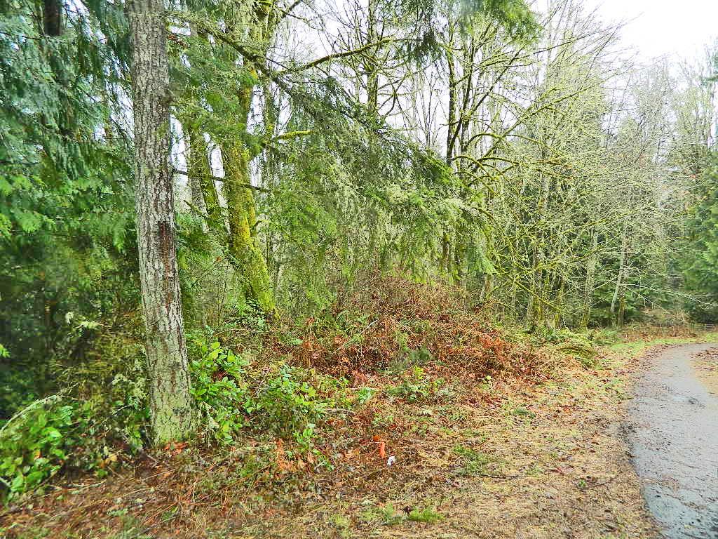 1-XX Ebbert Dr - Photo 1