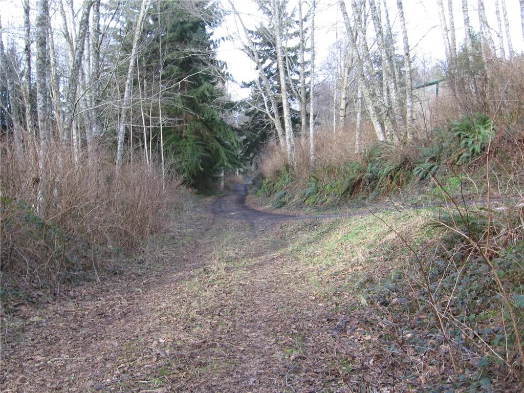 0-Lot 42 Laughing Dog Ave - Photo 1