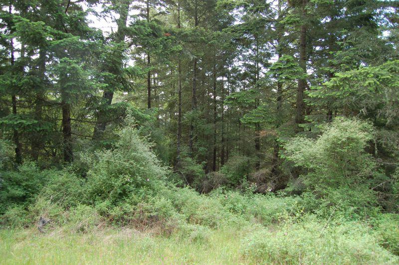 0-XXX Wilson Rd - Photo 1