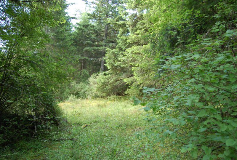 0-XXX Wilson Rd - Photo 1
