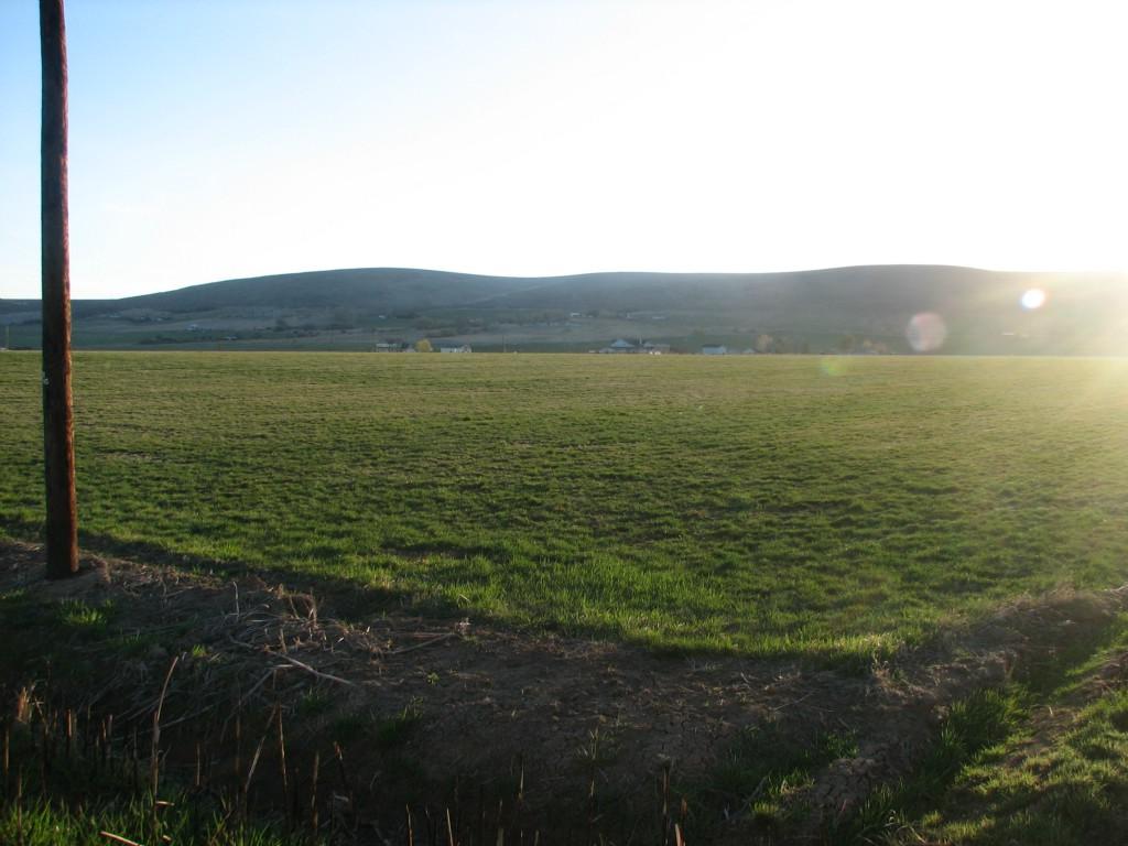 3-Lot 3 Busch - Photo 1