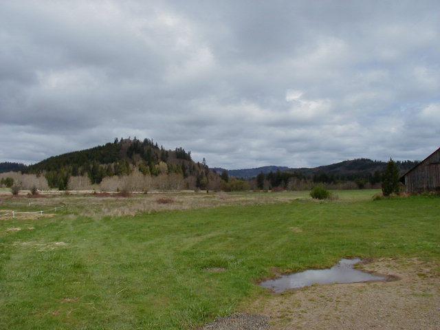 999 Doyle Road - Photo 1