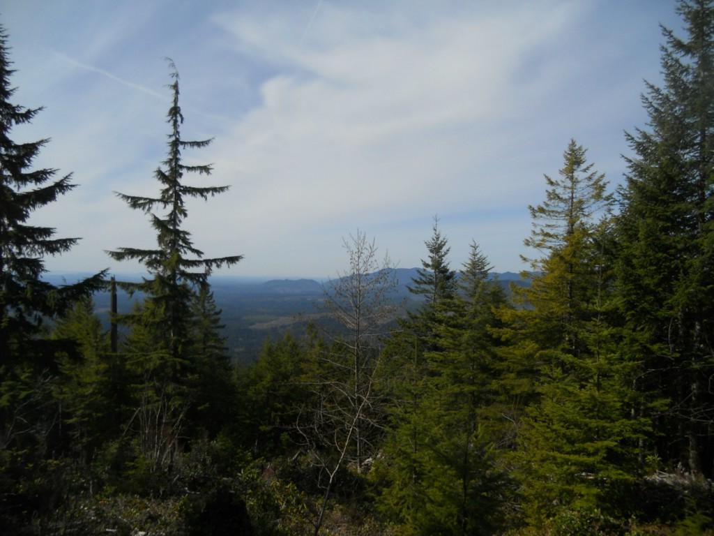 3701 Dow Mountain Rd - Photo 1