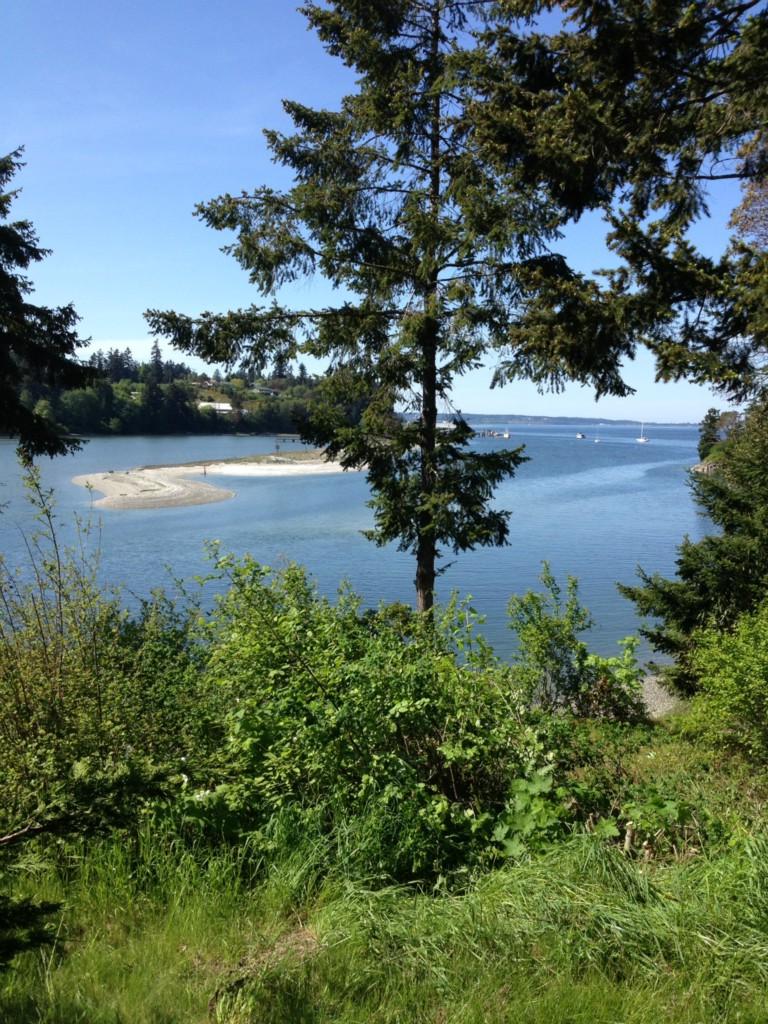 115 Hadlock Bay Rd - Photo 1