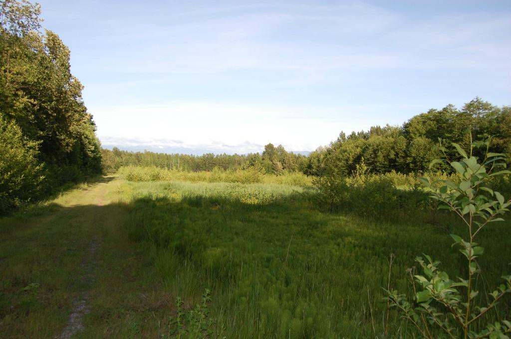 0-XXX Aldergrove Rd - Photo 1