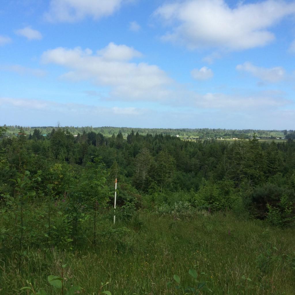 700 67th Street - Photo 1