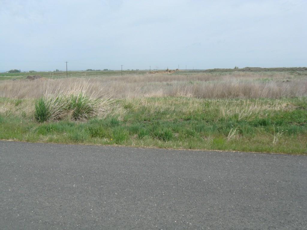 0-NNA Rd 8 - Photo 1