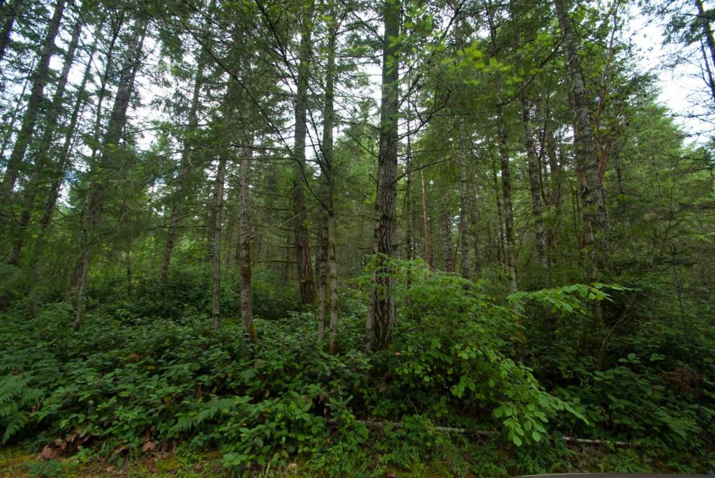 15-B Sherwood Hills Rd - Photo 1