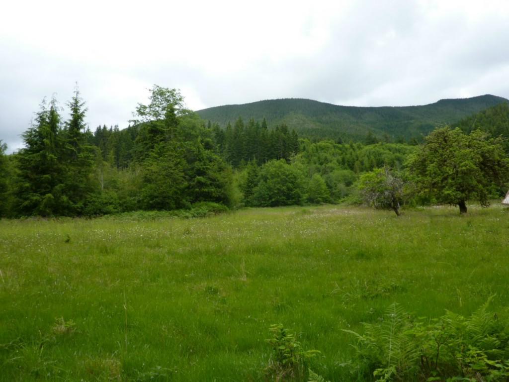 152 Swede Rd - Photo 1