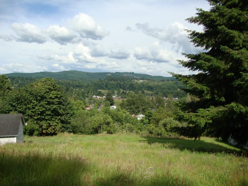 203 Nevada Dr - Photo 1