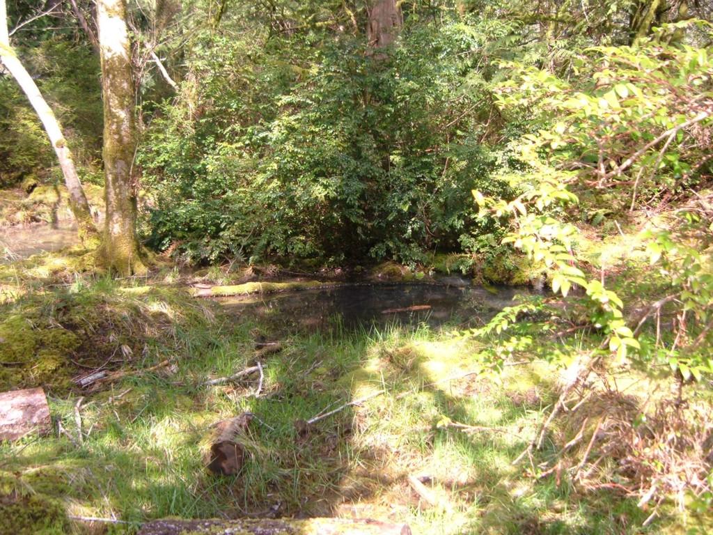 652 Pitcairn Place - Photo 1