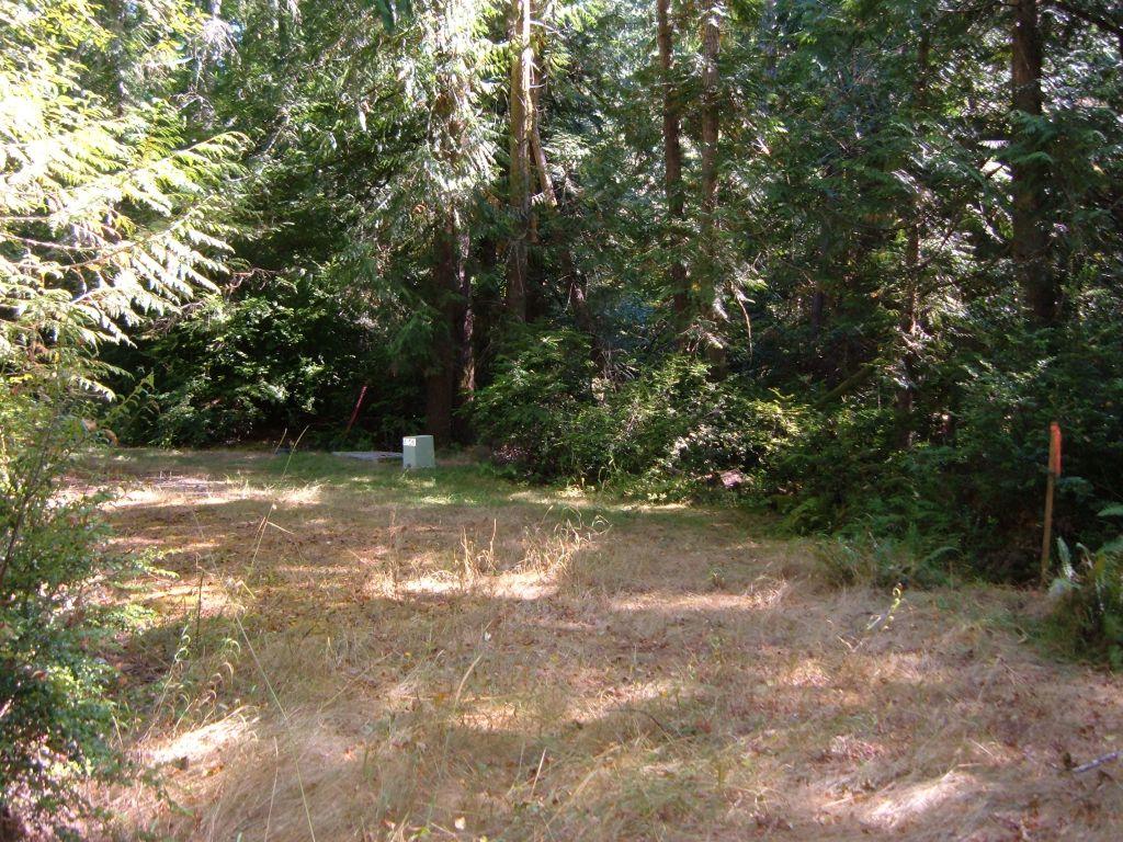 117 Liberty Rd - Photo 1