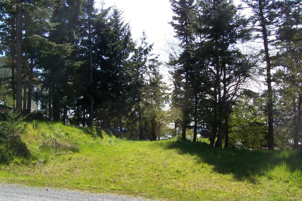 0 Morton Ave - Photo 1