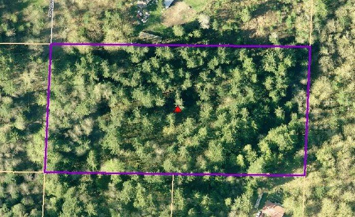 316-XX 202nd Ave Se - Photo 1