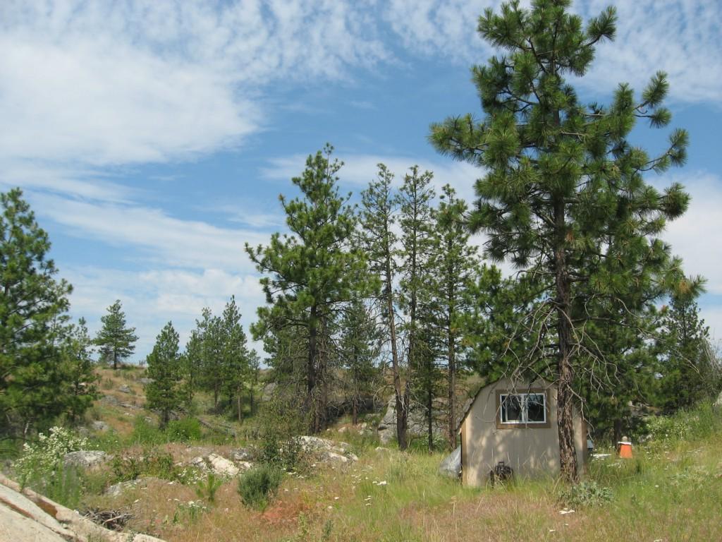 0-TBD Cameron Lake Loop Rd - Photo 1