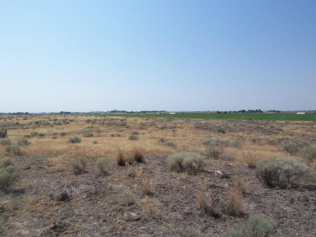 3794 Road F - Photo 1