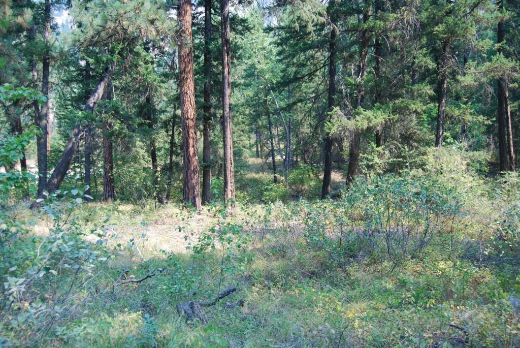 0-NNA First Creek Rd - Photo 1