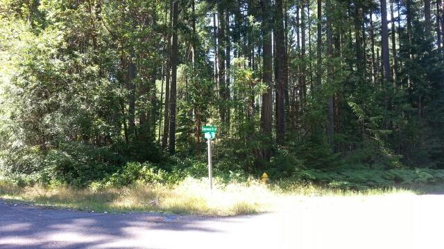 12823 99th St Ct - Photo 1