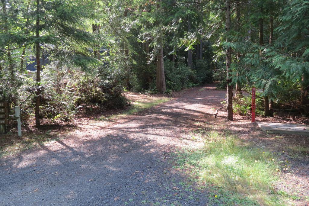 339 Pointes Dr - Photo 1
