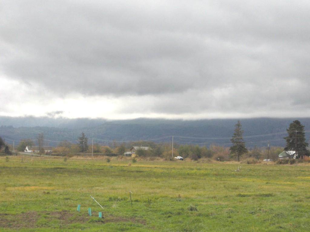 0-Lot 4 Little Island Lane - Photo 1
