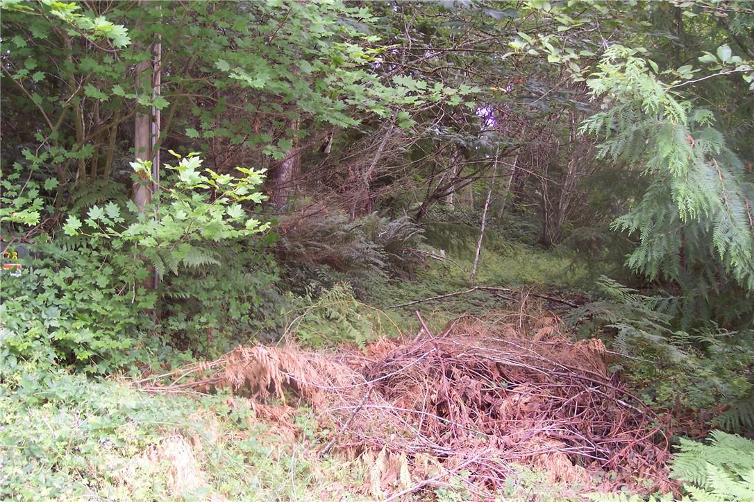 61 Duckabush Dr - Photo 1