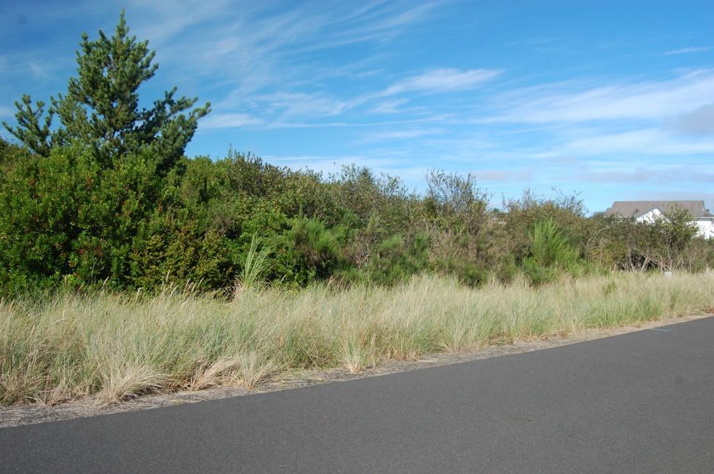 178 Razor Clam Dr - Photo 1