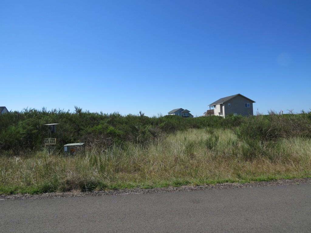 1409 Storm King Ave - Photo 1