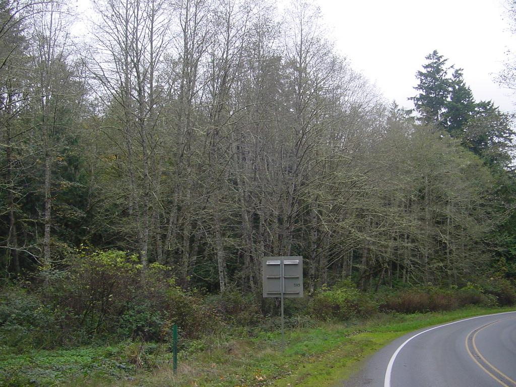 1400 Hwy 20 - Photo 1