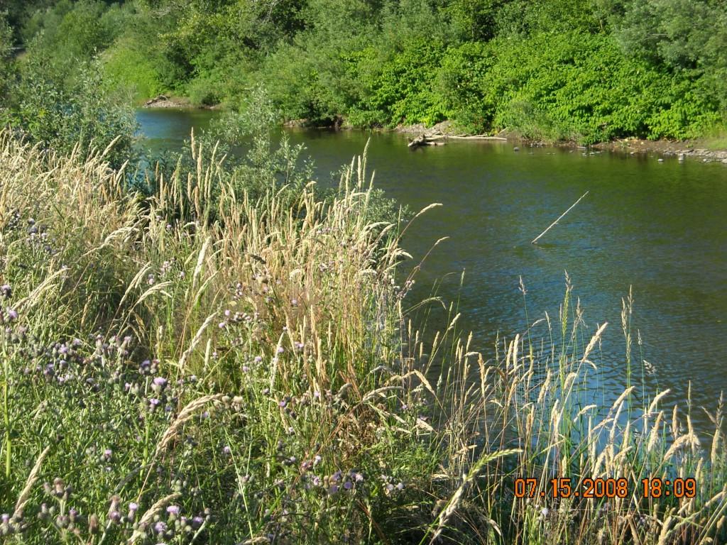 690-Lot 2 Elochoman Valley Rd - Photo 1
