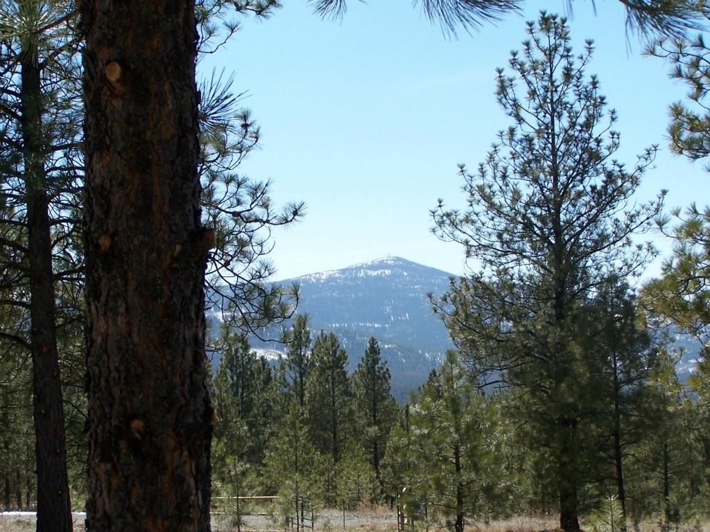 0-XXX Look Out Trail Spur - Photo 1