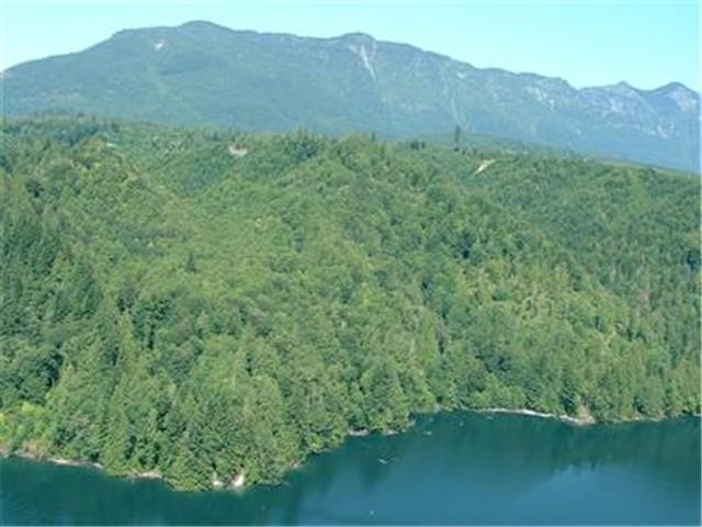 0-NHN Baker Lake Rd - Photo 1