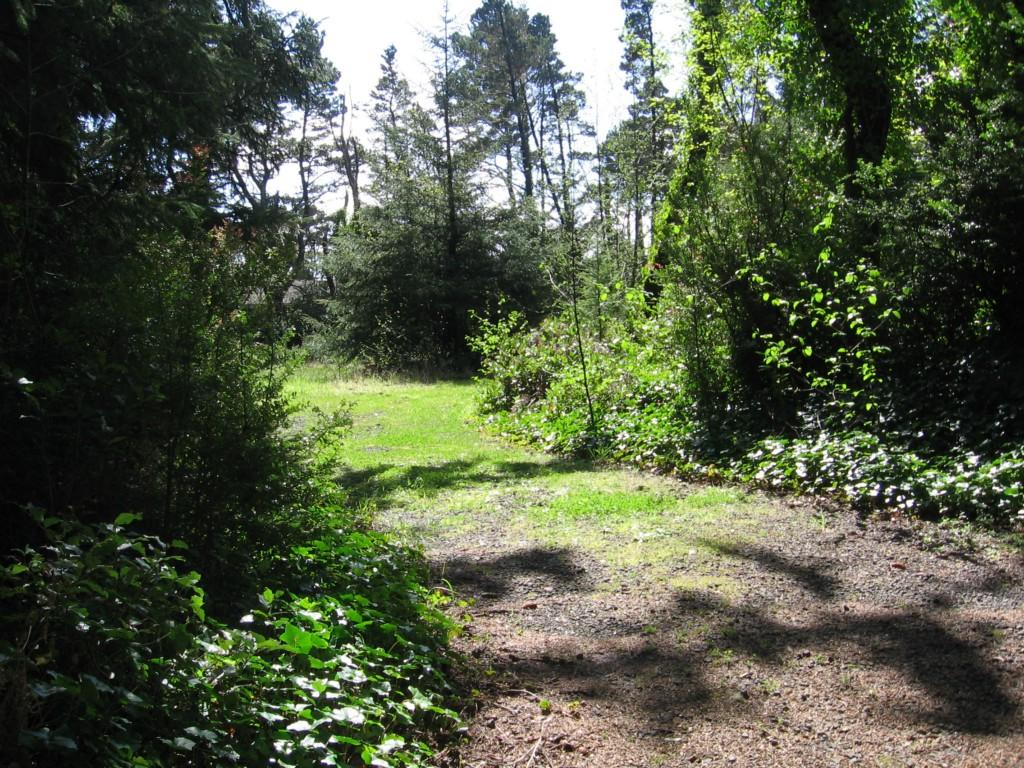 22009 Pacific Way - Photo 1