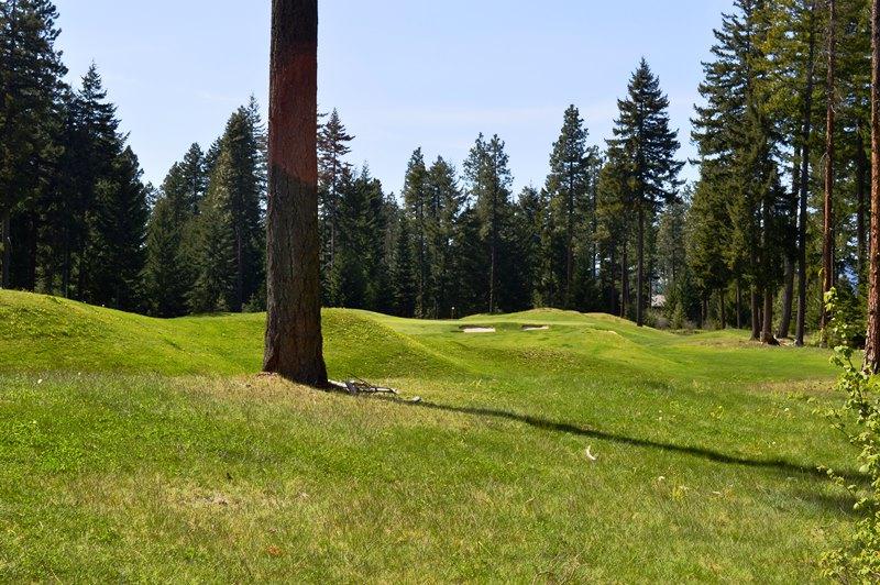210 Larkspur Lp - Photo 1
