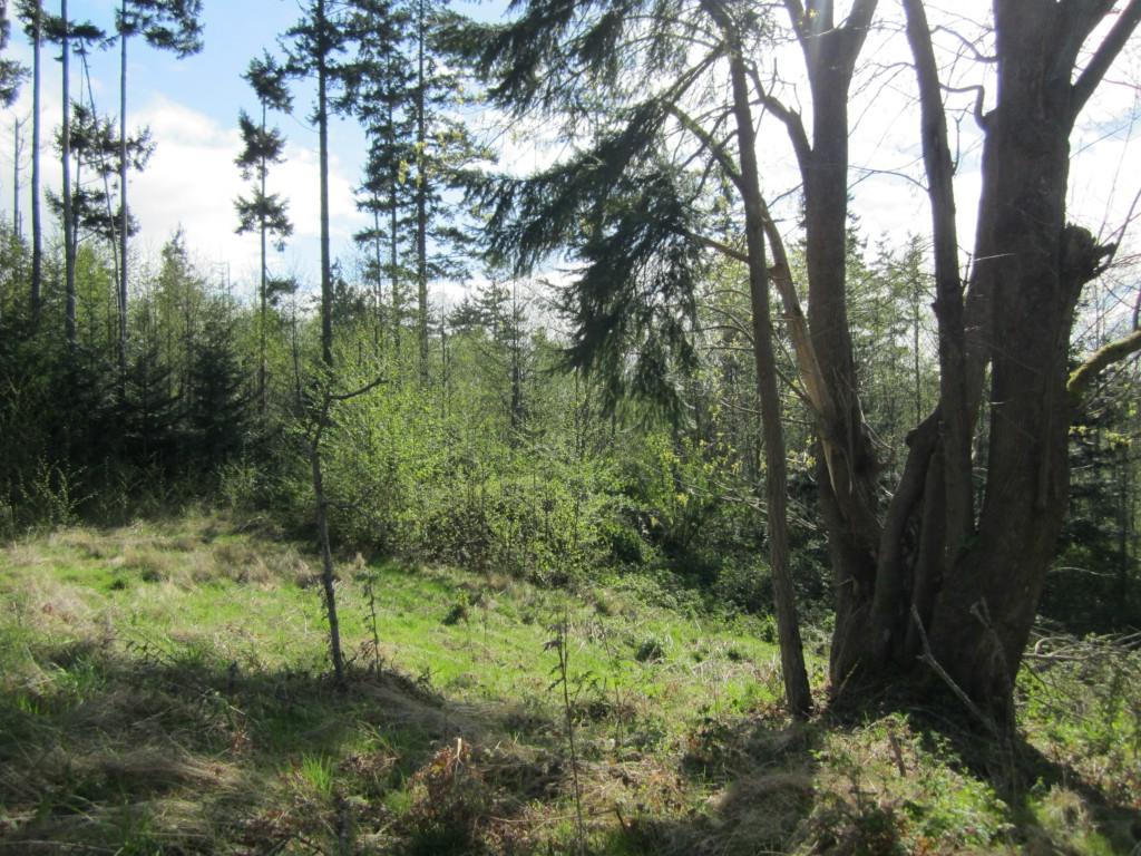 625 Puffin Ct - Photo 1
