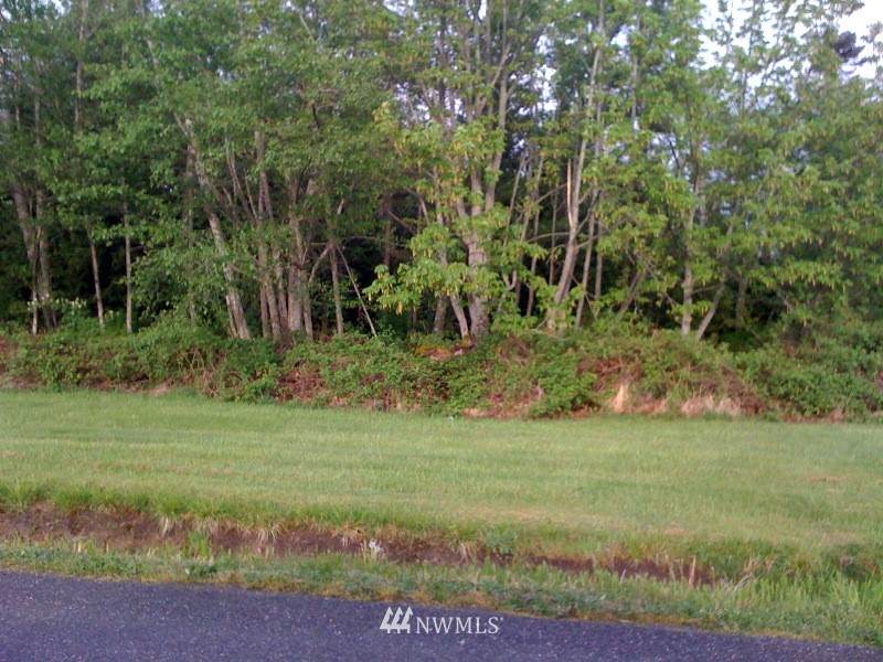 0 Chilliwack Road - Photo 1