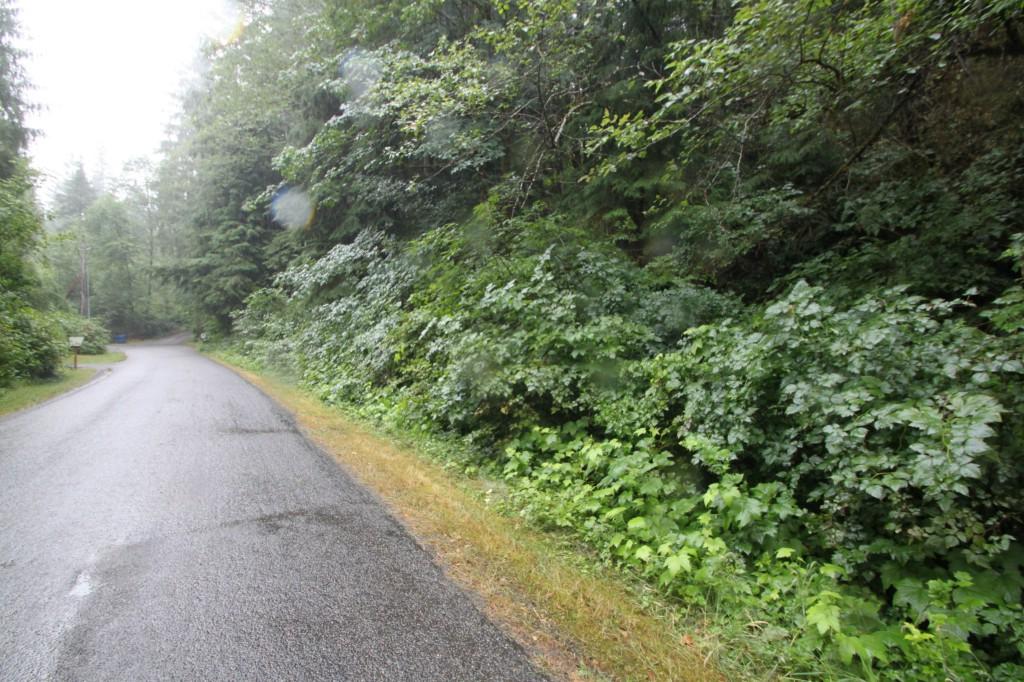 0-xxx Moon Valley Rd - Photo 1