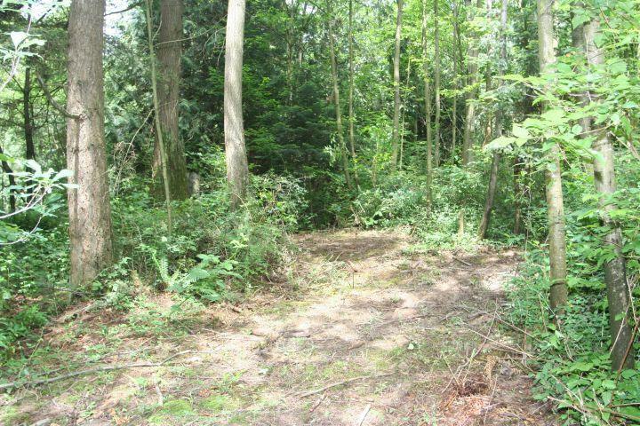 37-xx Birch Bay Lynden Rd - Photo 1
