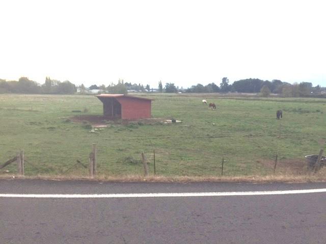 5 School House Rd - Photo 1