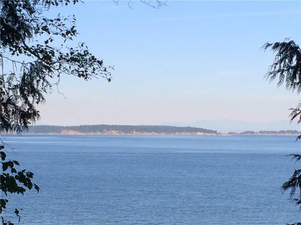 547 Raccoon Point Rd - Photo 1