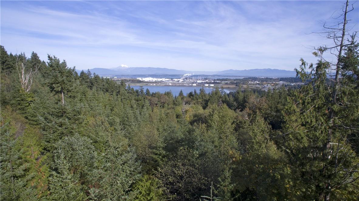 7100 San Juan Hill Lane - Photo 1