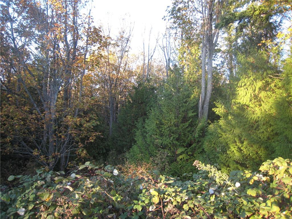8-XX 41st St - Photo 1