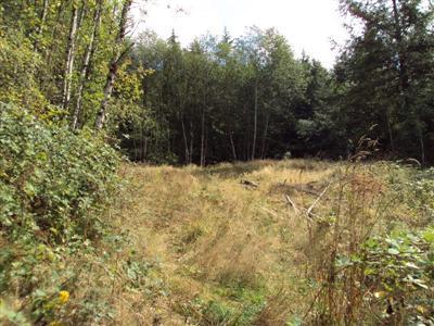 0 Garney Rd - Photo 1