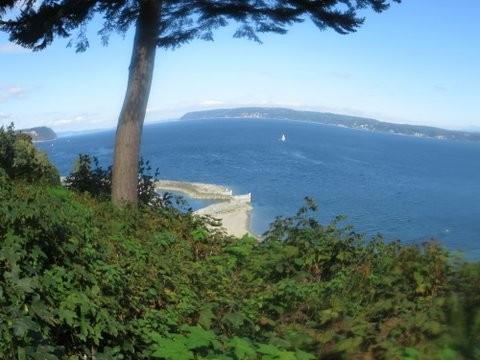 21 A Saratogo - Photo 1