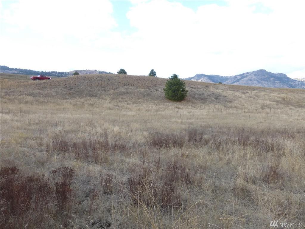 12345 Lone Pine Rd - Photo 1