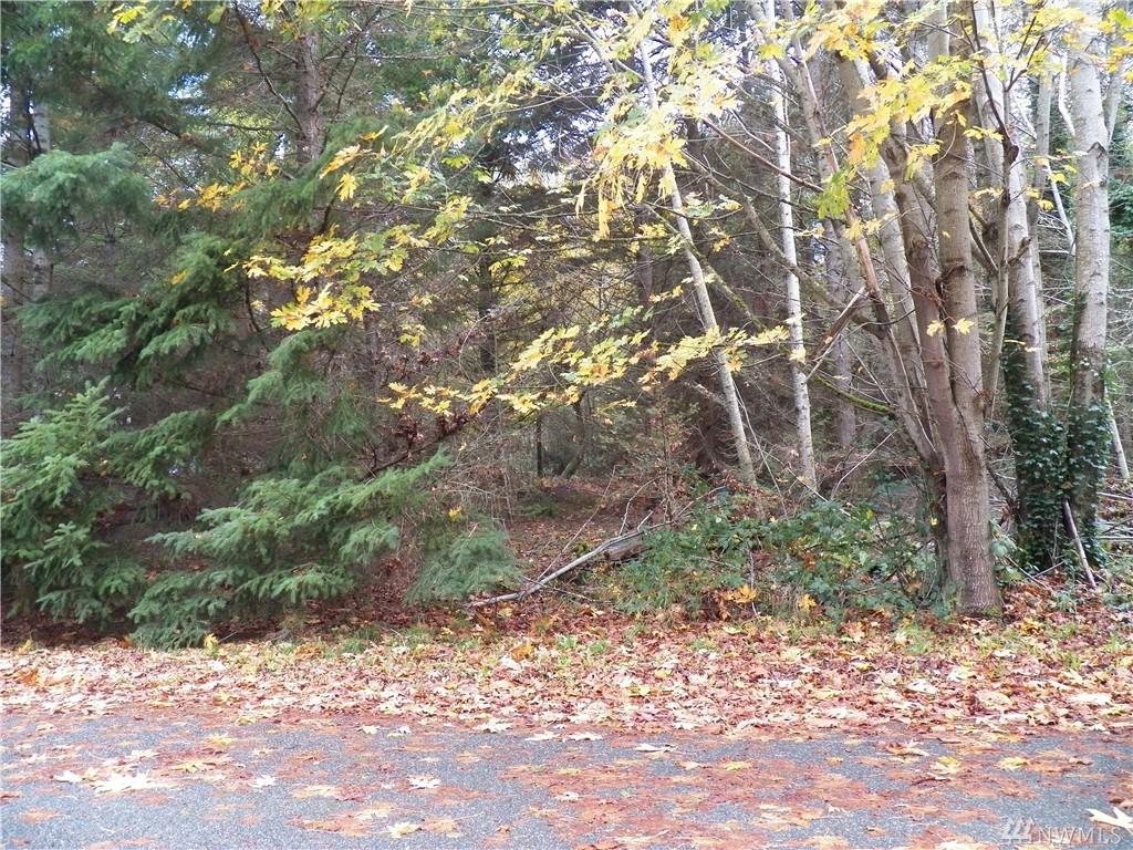 0 Park Dr - Photo 1