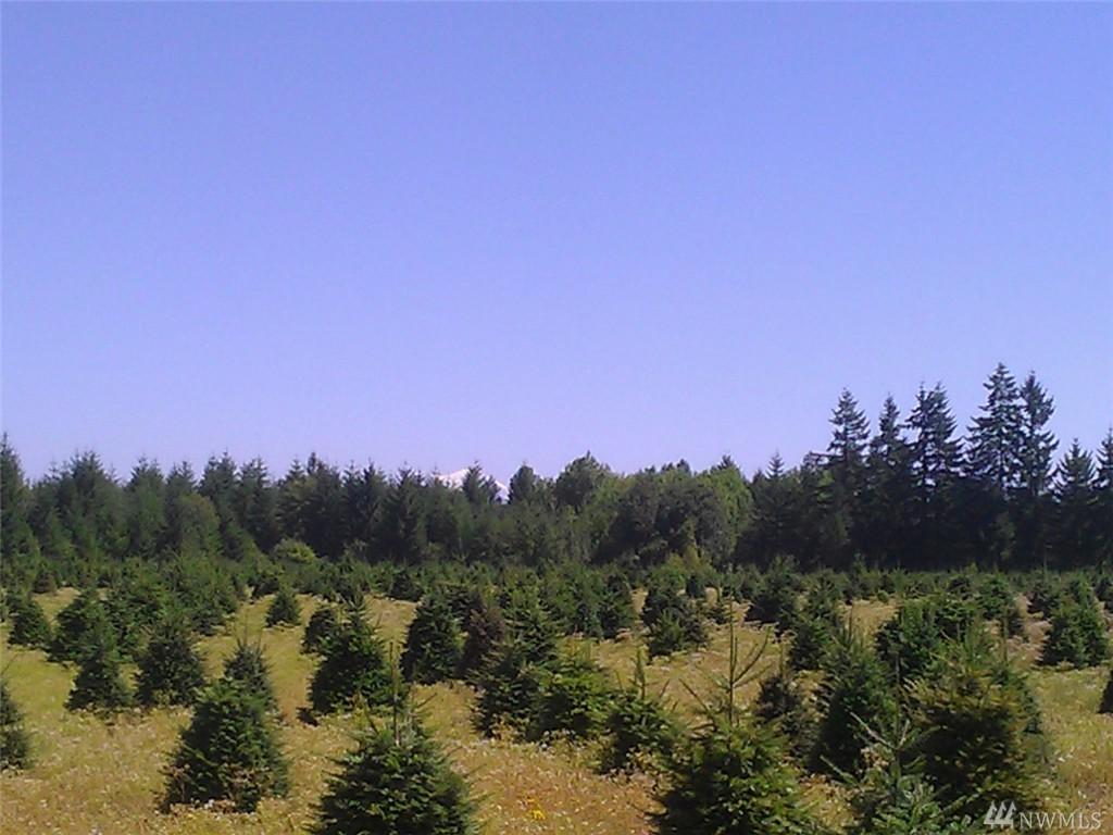 0-#F Brim Rd - Photo 1