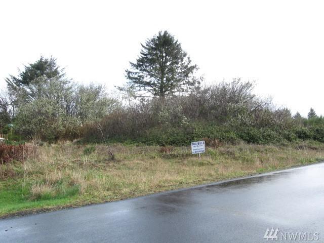 124 Calawah St - Photo 1